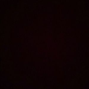 Meet your Posher, Alana